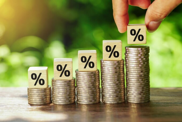 Image by tayhifi5 on freepik | Guaranteed interest rate on investment ensures steady growth of your principal amount.