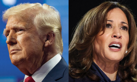 Celebrity Supporters of Trump and Harris